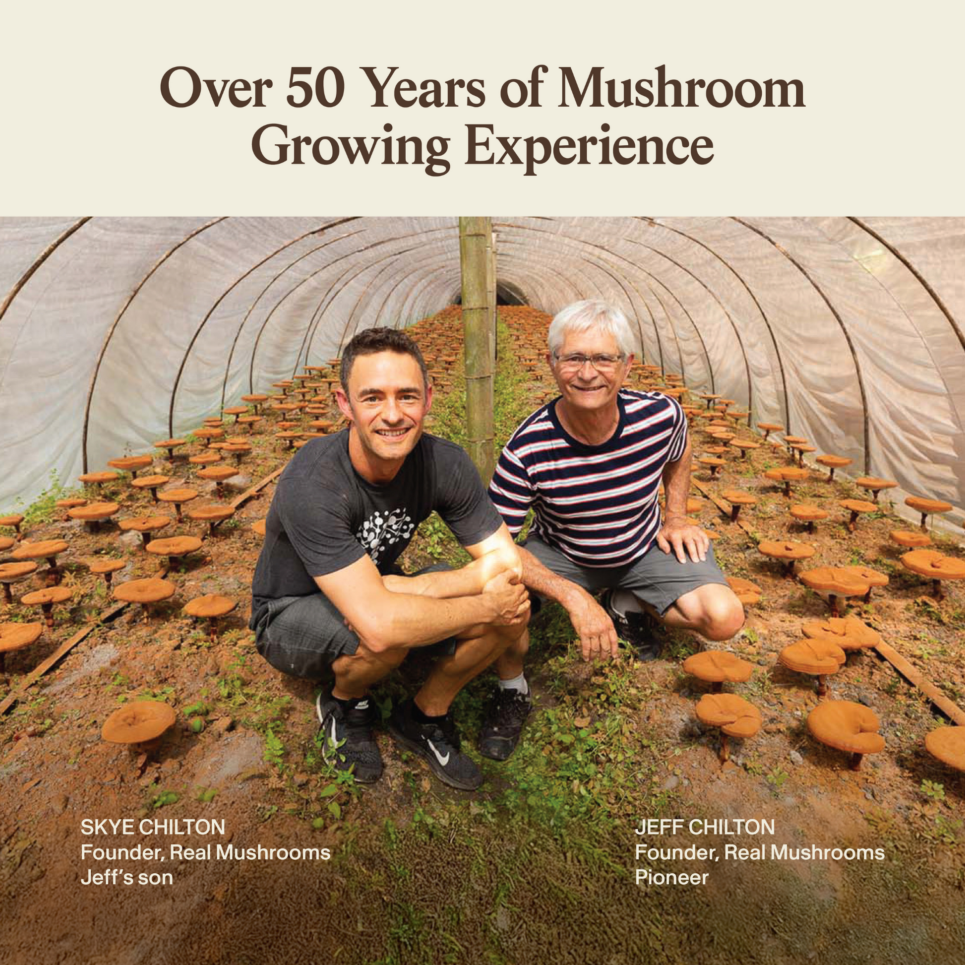 Inside a greenhouse of mushrooms, two experts—labeled with names and roles—kneel. Text above: "Over 50 Years of Mushroom Growing Experience." They're the team behind Real Mushrooms' Daily Dawg Powder for Pets, supporting whole-body dog wellness.