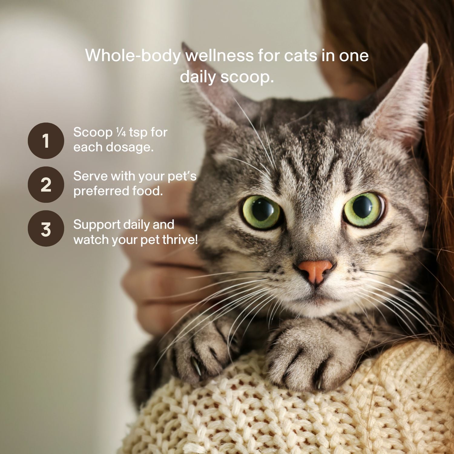 Person holding a gray tabby cat; text overlay shows three steps for using Real Mushrooms Functional Feline Powder for Cats: scoop, mix with food, and support your cat’s daily wellness with mushroom extract.