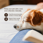 A small dog rests its head on a person's knee next to an open book, with wellness tips and Real Mushrooms’ Mushroom Relax Pet Chews displayed beside it.