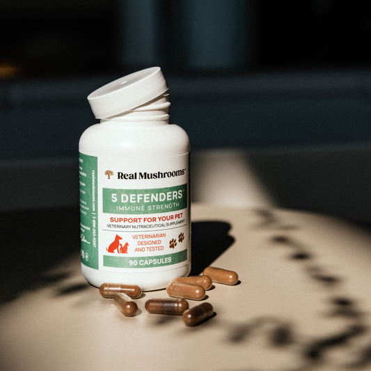 A bottle of Real Mushrooms 5 Defenders Organic Mushroom Blend Capsules for Pets is shown with capsules in front, emphasizing immune support for pets with organic mushroom extracts.