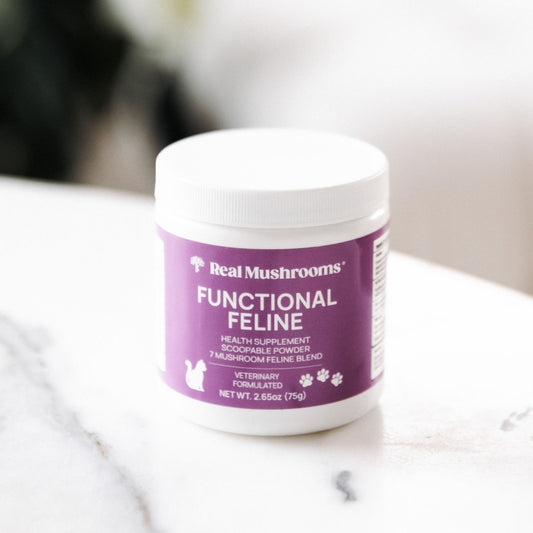 A white container labeled "Functional Feline Powder for Cats" by Real Mushrooms, a cat wellness supplement with mushroom extract, sits on a white surface.
