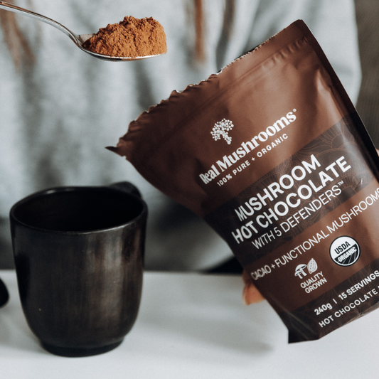 A spoonful of Real Mushrooms Mushroom Hot Chocolate Mix.