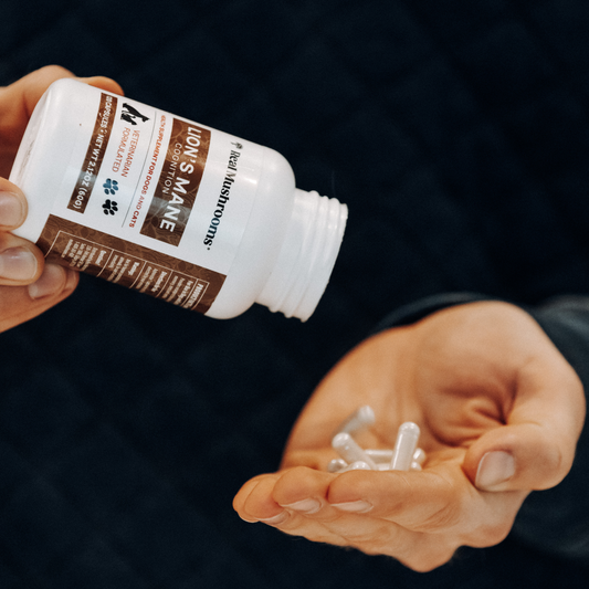 A person pours Real Mushrooms Organic Lions Mane Extract Capsules for Pets from a white bottle into their hand against a dark background.