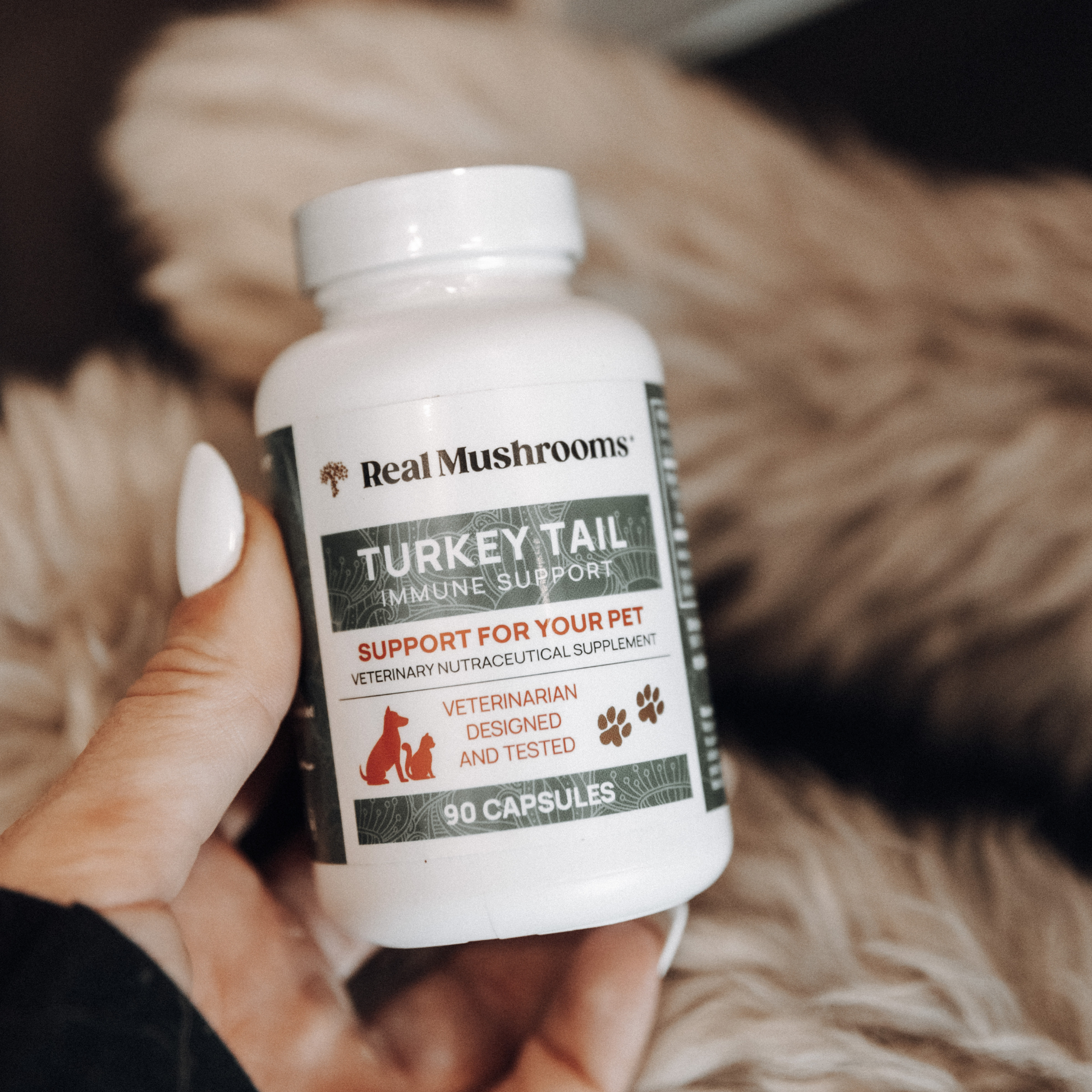 A hand holds a bottle labeled "Real Mushrooms Turkey Tail Extract Capsules for Pets," a supplement with 90 capsules made from organic turkey tail mushroom and rich in beta-glucans, designed to support pet health.