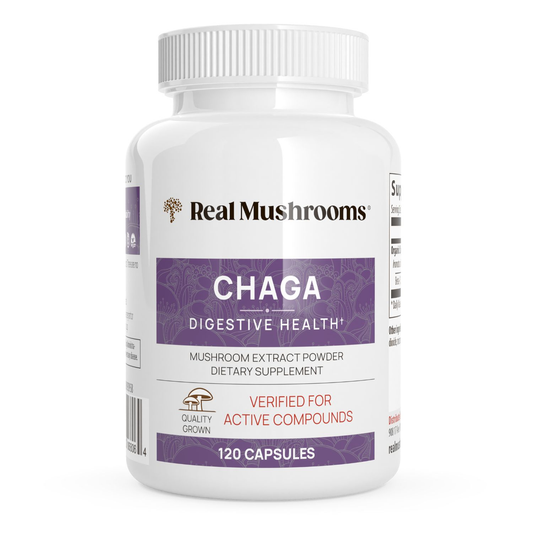 White bottle labeled "Real Mushrooms Organic Chaga Extract Capsules," containing 120 capsules of organic chaga mushroom extract dietary supplement for digestive and immune support.