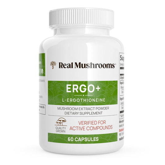 A white bottle labeled "Real Mushrooms Ergo+ Ergothioneine Supplement," an antioxidant made from golden oyster mushrooms, contains 60 capsules.