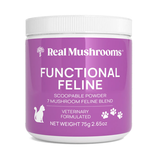 A 75g jar of Real Mushrooms Functional Feline Powder for Cats, a 7-mushroom organic wellness supplement, in purple packaging with white text and graphics.