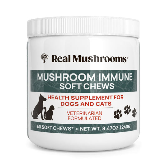 Real Mushrooms Mushroom Immune Pet Chews are organic, grain-free supplements for dogs and cats; 60 soft chews (8.47 oz/240g) per container, formulated to support pet immune health.