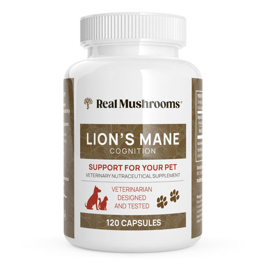 A white bottle of Real Mushrooms Organic Lions Mane Extract Capsules for Pets, with 120 capsules, brown and white labeling, pet illustrations, and made from organic Lion's Mane mushrooms rich in beta-glucans.