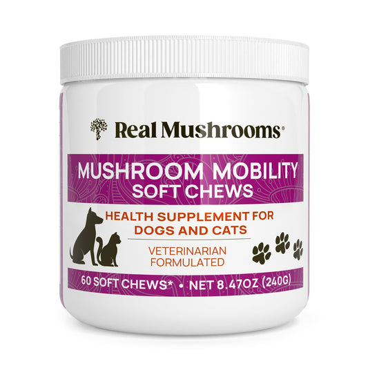 A white container labeled "Real Mushrooms Mushroom Mobility Pet Chews," a health supplement for dogs and cats, contains 60 chews with green lipped mussel for joint support; total weight 8.47 oz (240g).