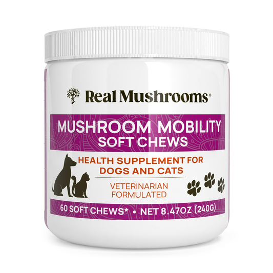 A white container labeled "Real Mushrooms Mushroom Mobility Pet Chews," a joint support supplement for dogs and cats, with 60 chews (8.47 oz/240g) featuring green-lipped mussel.