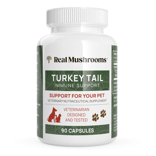 A white bottle of Real Mushrooms Turkey Tail Extract Capsules for Pets contains 90 capsules made with organic mushrooms, featuring high beta-glucans content and is veterinarian-designed and tested.