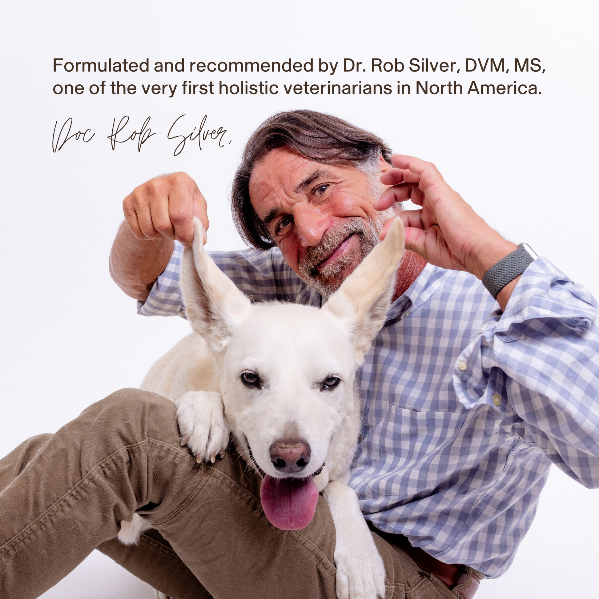 A smiling man sits with a white dog, playfully holding its ears. Text above introduces Dr. Rob Silver, holistic vet, who champions Real Mushrooms’ Daily Dawg Powder for Pets to support whole-body wellness in dogs.