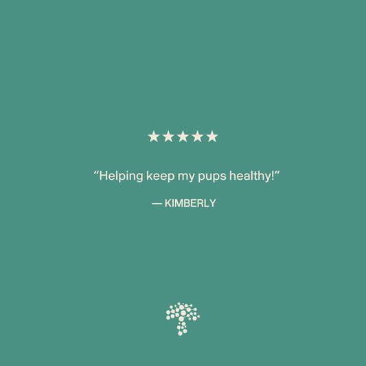 Five-star review: "Helping keep my pups healthy!" — Kimberly. Featured on a green background with a tree logo, celebrating Real Mushrooms' 5 Defenders Organic Mushroom Blend Capsules for Pets and their immune support benefits.