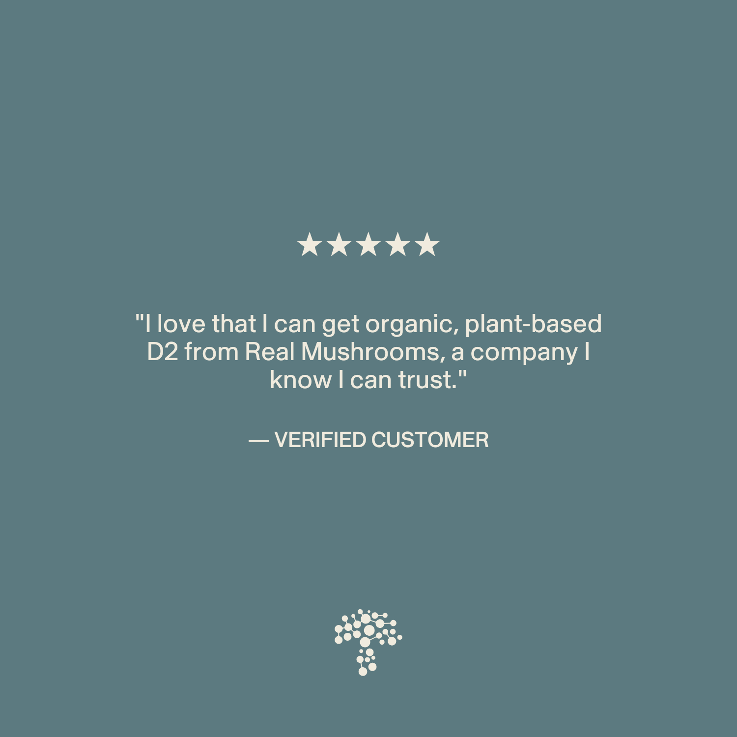 A five-star review praises Real Mushrooms’ Vitamin D from Organic Mushrooms, calling the brand trustworthy and their organic mushroom capsules an excellent vitamin D supplement.