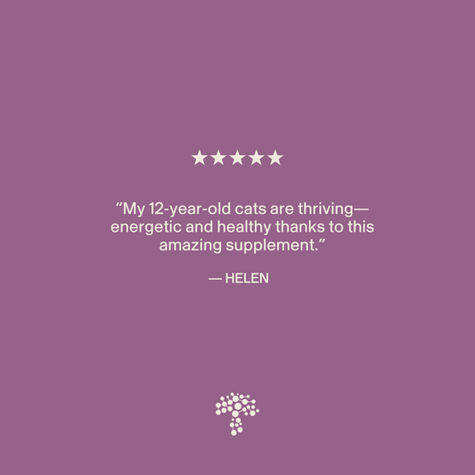 Purple background with a five-star rating, Helen's quote about her 12-year-old cats thriving thanks to Real Mushrooms' Functional Feline Powder for immune support, and a tree logo at the bottom.
