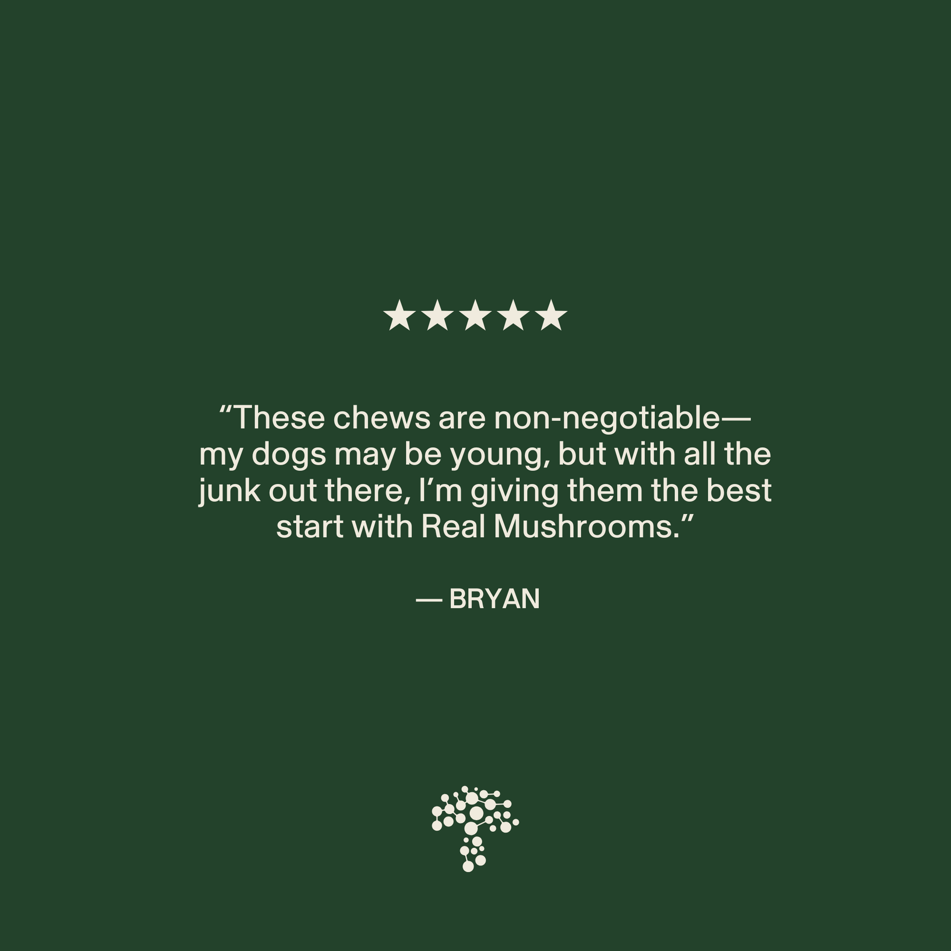 Bryan gives a five-star review for Real Mushrooms' Mushroom Immune Pet Chews, highlighting their immune support for his young dogs. The review is featured on a dark green background with a mushroom logo at the bottom.