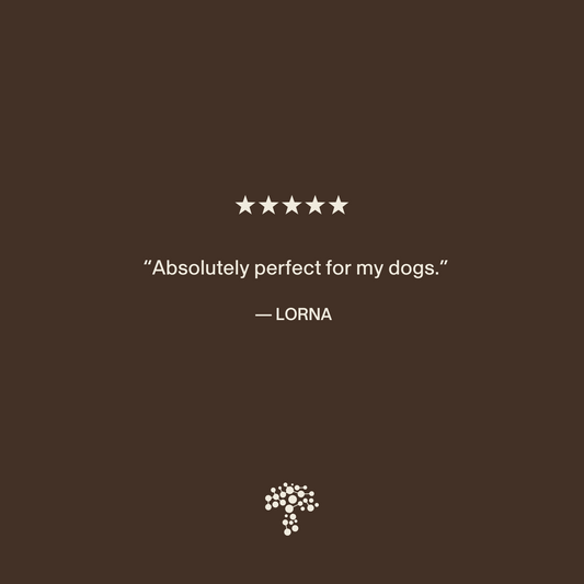 A five-star review from Lorna reads, "Absolutely perfect for my dogs," on a brown background with a tree logo, highlighting our Real Mushrooms Organic Lions Mane Extract Capsules for Pets.