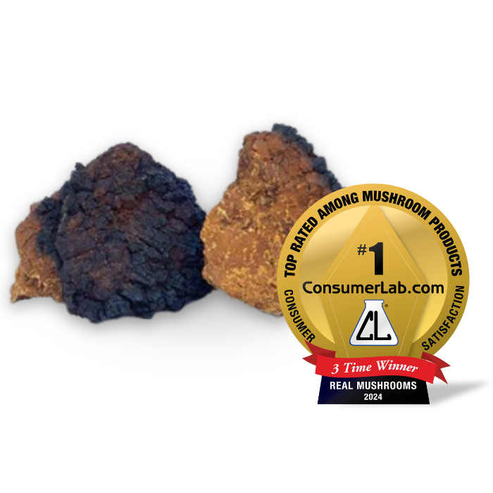 Two pieces of rough-textured, dark Chaga mushrooms are featured alongside a gold award badge, highlighting the 2024 top rating for organic mushroom products awarded by ConsumerLab.com to Real Mushrooms' Organic Chaga Extract Capsules.