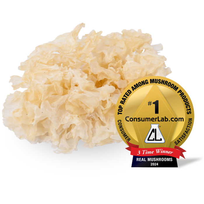 The Organic Tremella Extract Powder by Real Mushrooms, awarded the #1 Top Rated badge among mushroom products and a three-time winner in 2024, showcases the potency of Tremella fuciformis. Enriched with beta-glucans, this premium extract demonstrates its power in every capsule.