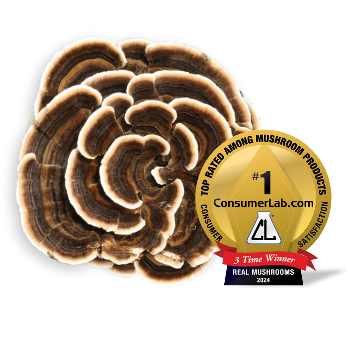 The image showcases the Turkey Tail Extract - Bulk Powder by Real Mushrooms, adorned with a gold medal emblem stating "Top Rated Among Mushroom Products," "#1 ConsumerLab.com," and "3-Time Winner, Real Mushrooms 2024." It celebrates the product's excellence, highlighting its potent beta-glucans for unmatched quality.