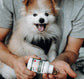A person holds a small dog and pours Turkey Tail Extract Capsules for Pets by Real Mushrooms, highlighting the benefits of organic mushrooms and rich beta-glucans content.