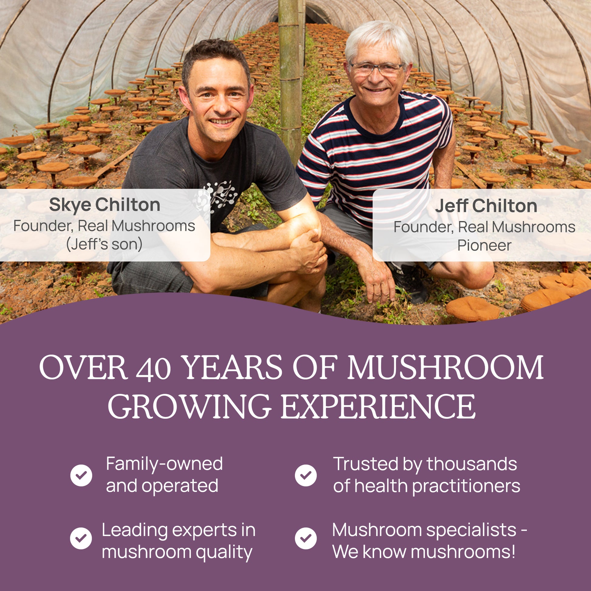 Two men smiling inside an organic mushroom cultivation greenhouse, representing over 40 years of experience in mushroom farming and expertise in Real Mushrooms quality.
