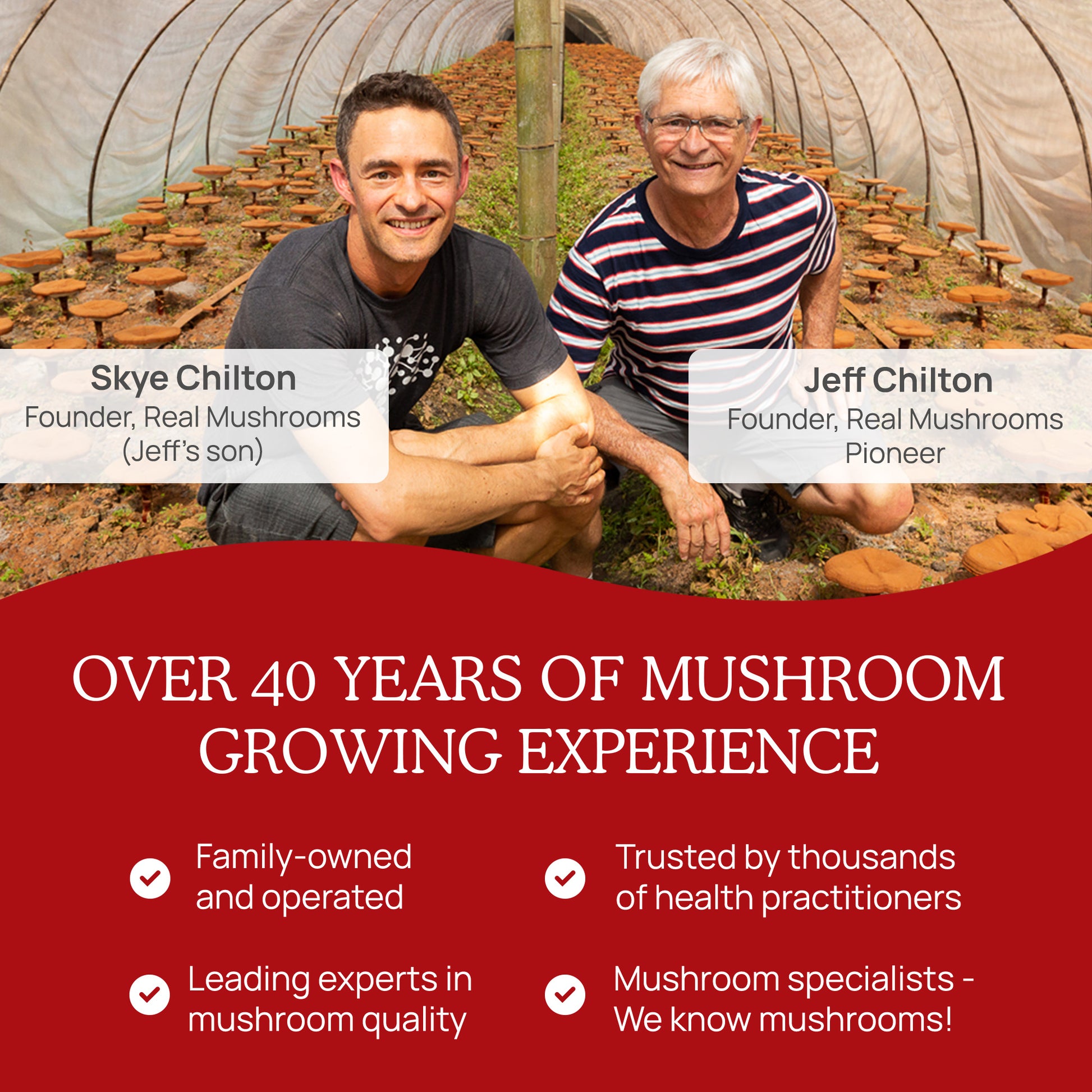 Promotional image highlighting the experience and trustworthiness of Real Mushrooms, a family-owned mushroom growing business specializing in Lion's Mane, Ashwagandha, Rhodiola and Bacopa, featuring two male founders in a greenhouse setting with a list of their qualifications and expertise.