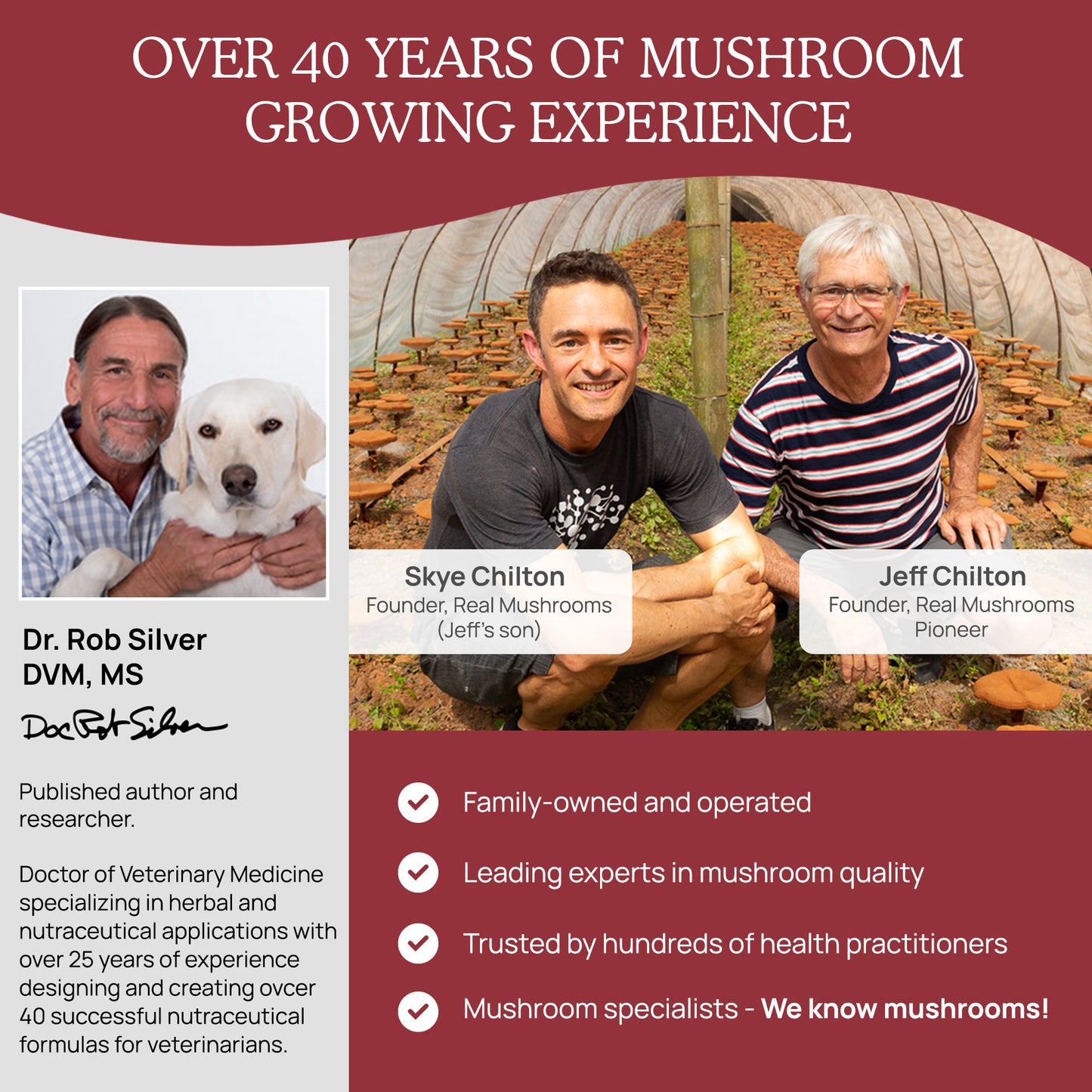 Three individuals representing Real Mushrooms, a family-owned mushroom growing business, showcasing their expertise and commitment to the industry with over 40 years of experience, featuring founders and a specialist with a background in veterinary medicine and herbal compounds.