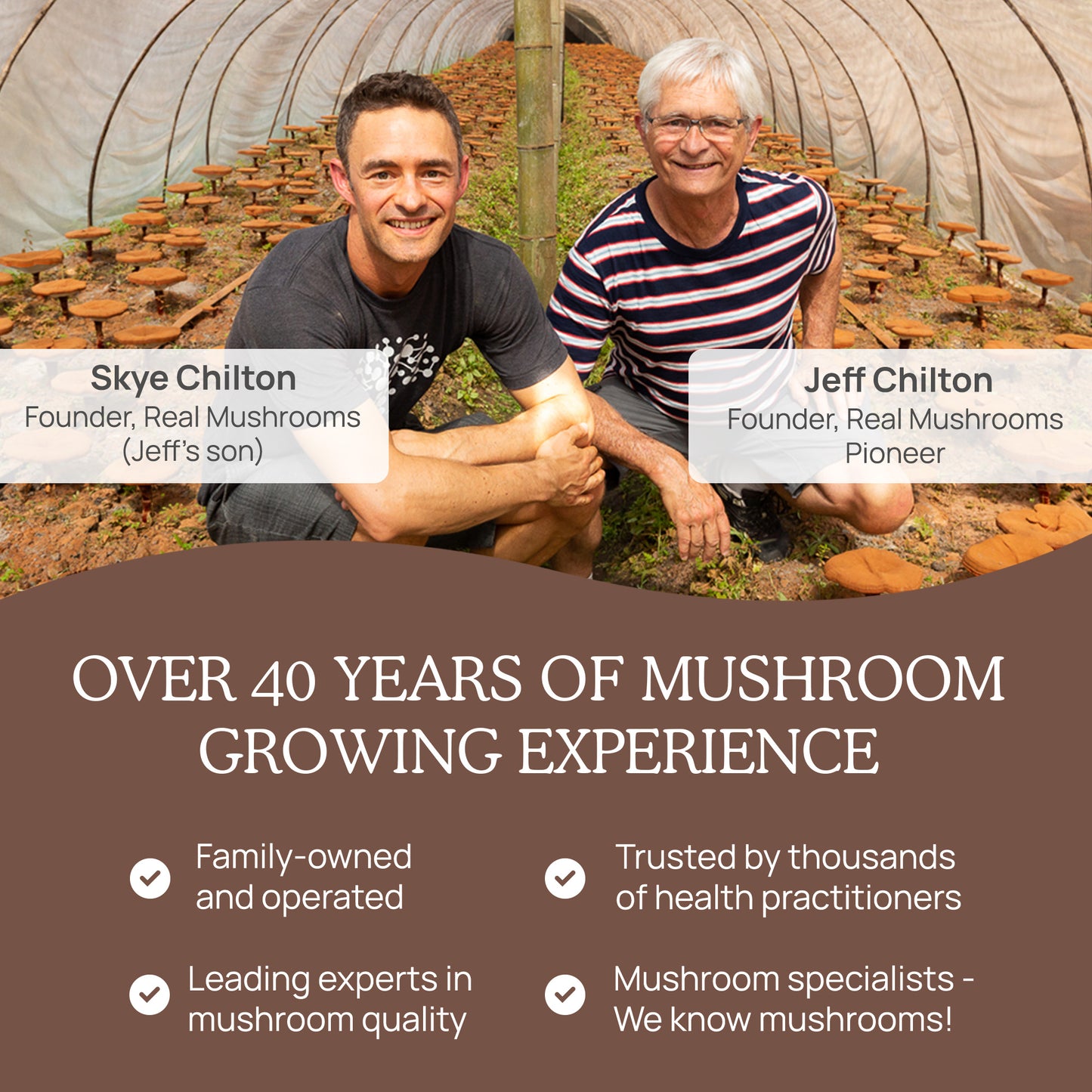 Two men smiling inside an organic mushroom cultivation greenhouse, representing Real Mushrooms, a family business with over 40 years of experience in growing and selling Mushroom Chocolate 5 Packs.