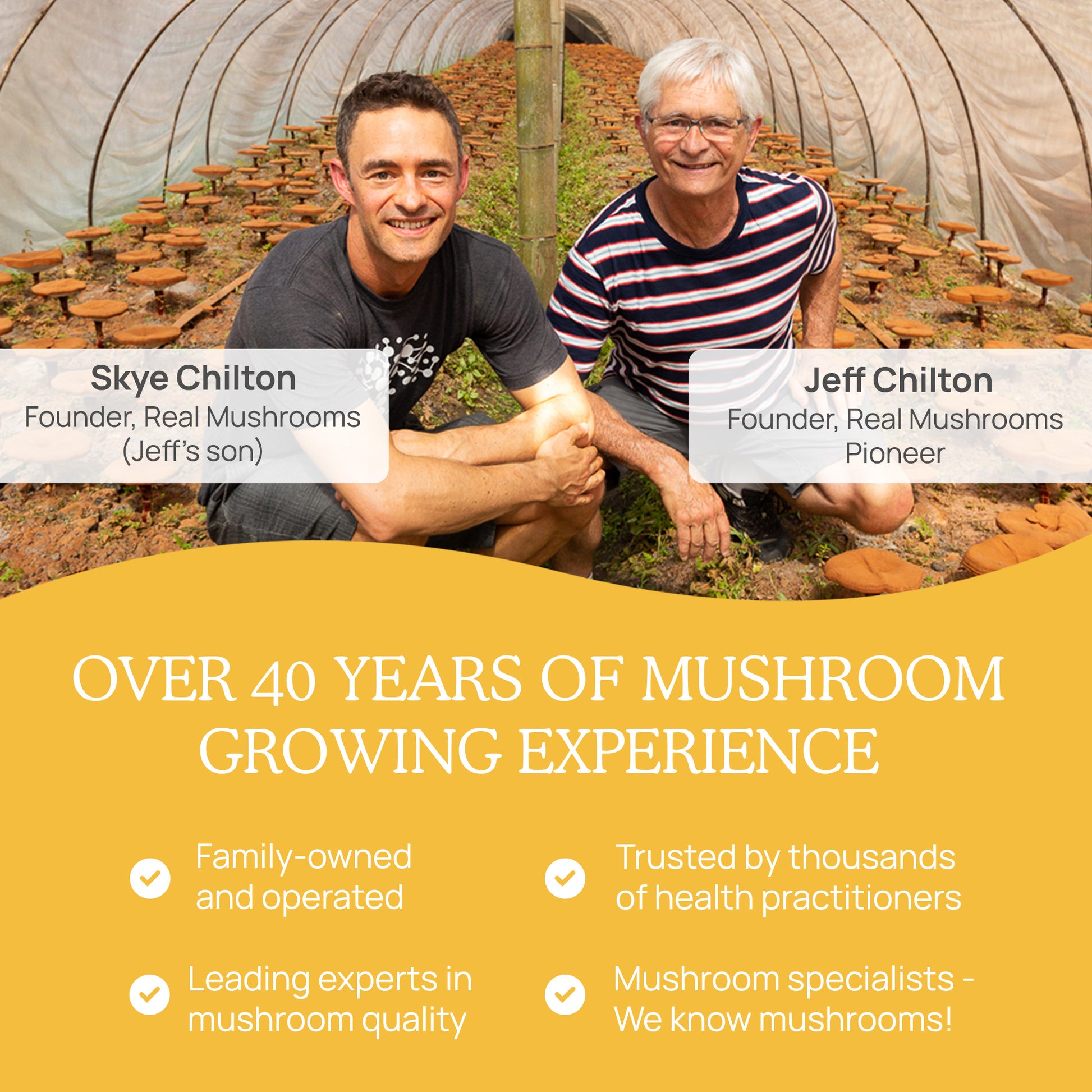 Two men smiling inside an organic mushroom cultivation greenhouse, identified as Skye Chilton, the founder's son, and Jeff Chilton, the pioneer of Real Mushrooms, a family-owned mushroom business with over 40 years