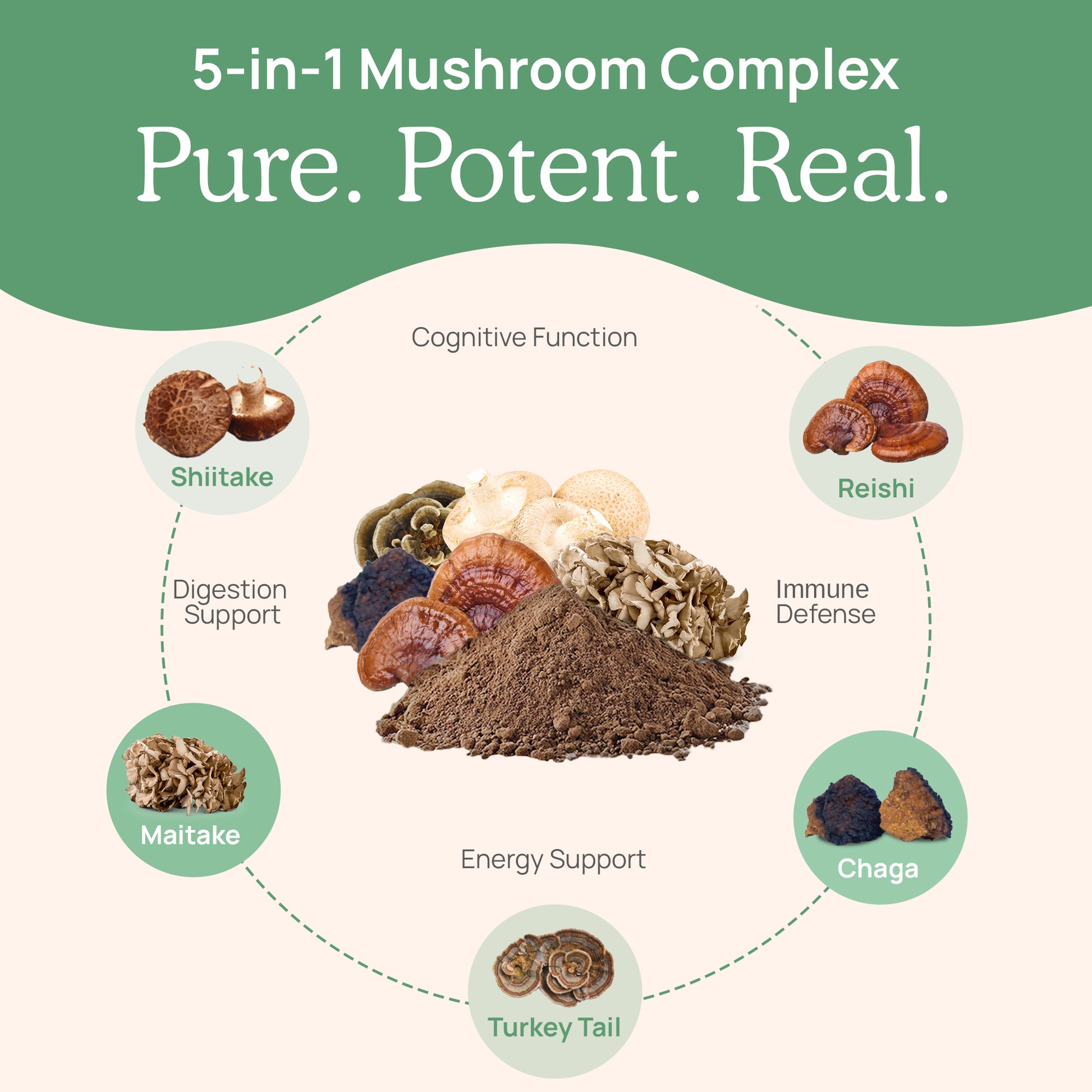 An infographic presenting Real Mushrooms' "5 Defenders Organic Mushroom Complex – Bulk Powder" with claims of health benefits such as cognitive function, immune defense, energy support, and digestion support, alongside images of various mushrooms and a pile.