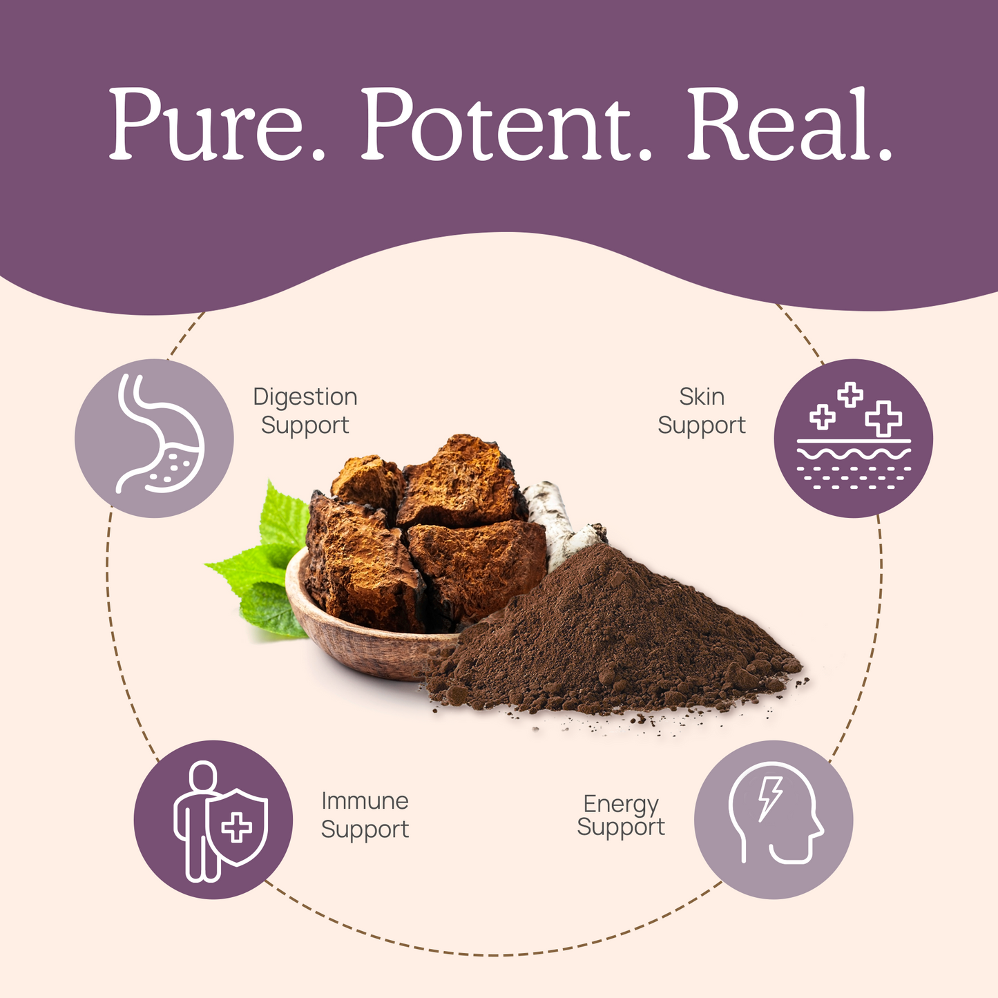 Real Mushrooms Organic Chaga Extract Powder is pure, potent, and real.