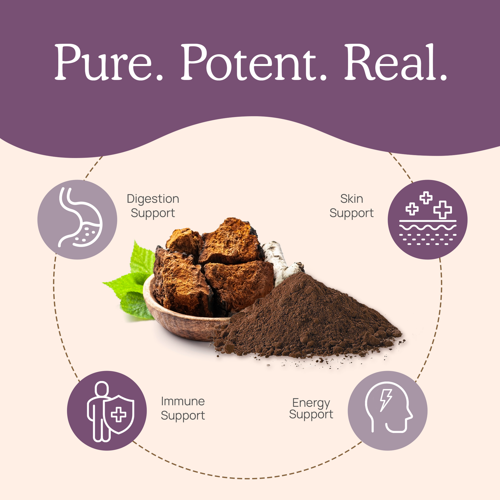 Real Mushrooms' Organic Chaga Extract Capsules for Pets are pure, potent, and real.