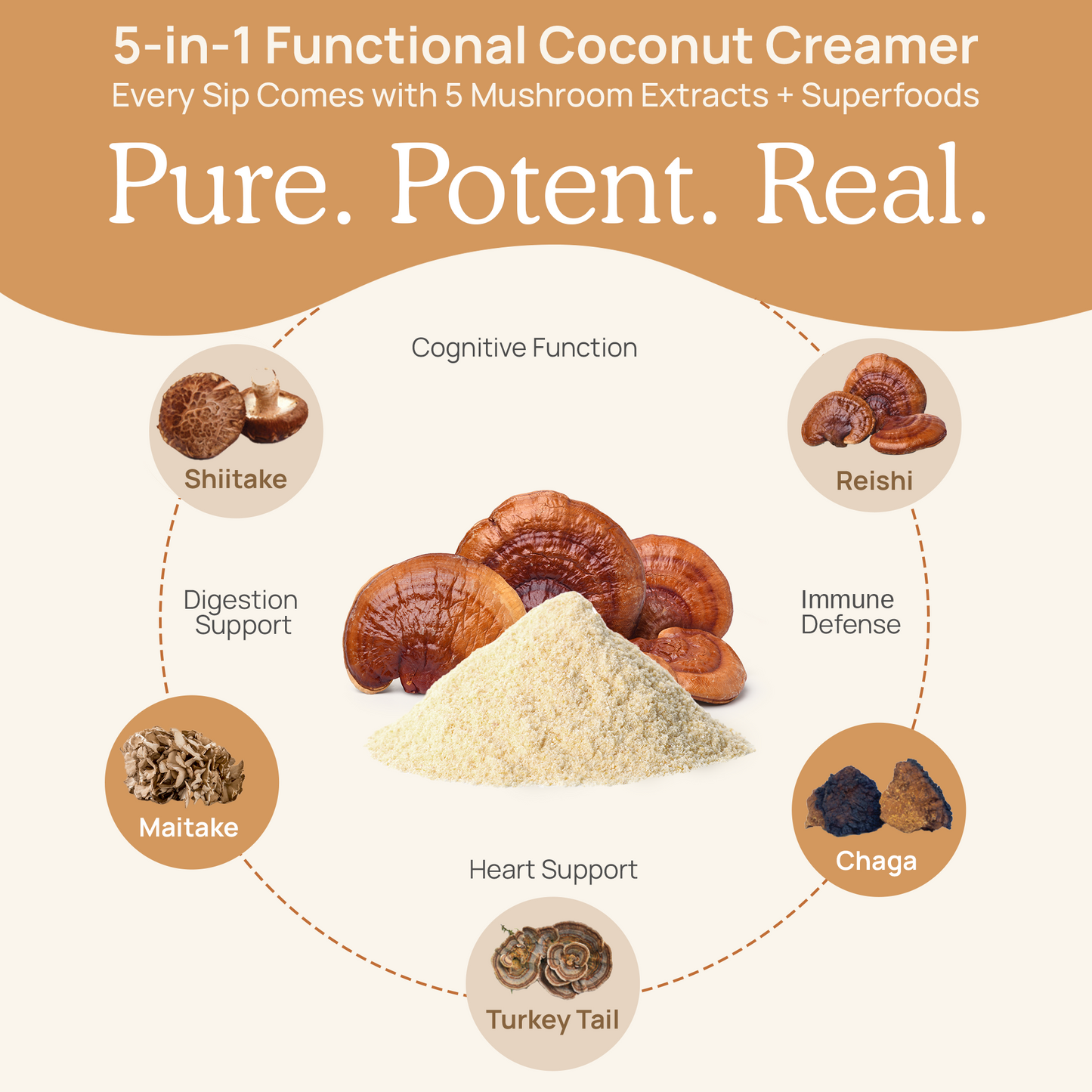 Real Mushrooms USDA Certified Organic 5 in 1 Functional Coconut Creamer - Powder made with organic mushroom extract blend.