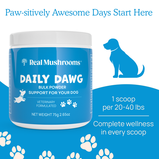 Daily intake of Real Mushrooms Daily Dawg Powder for Pets for general health maintenance.