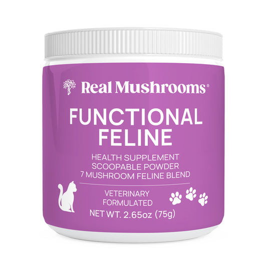 Purple 2.65 oz Functional Feline Powder for Cats by Real Mushrooms features Certified Organic mushrooms. This scoopable supplement blends seven mushrooms, rich in Beta-glucans, to promote whole-body health for cats.