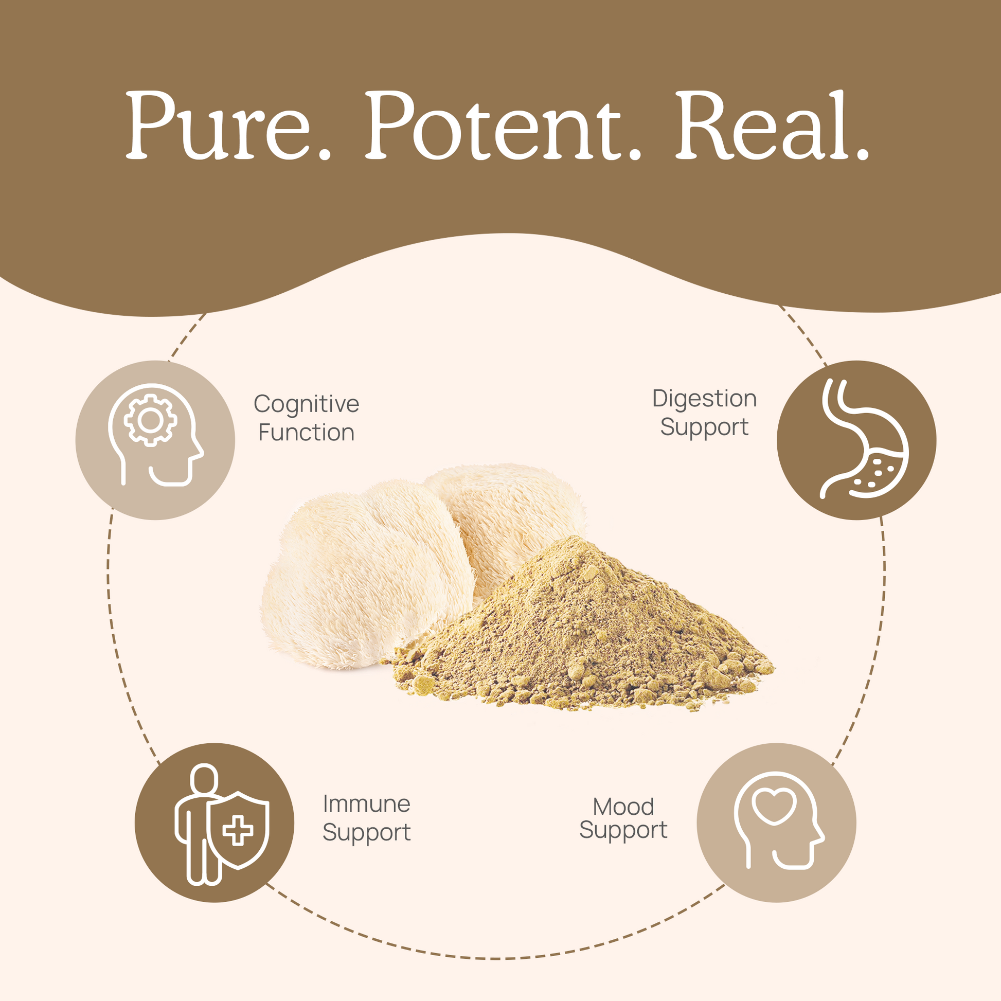 Pure potent real Organic Lions Mane Extract Capsules from Real Mushrooms.