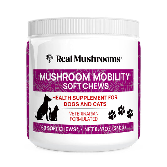 The "Mushroom Mobility Pet Chews" by Real Mushrooms are veterinarian-formulated supplements featuring natural ingredients for pet joint health, with each container holding 60 chews.