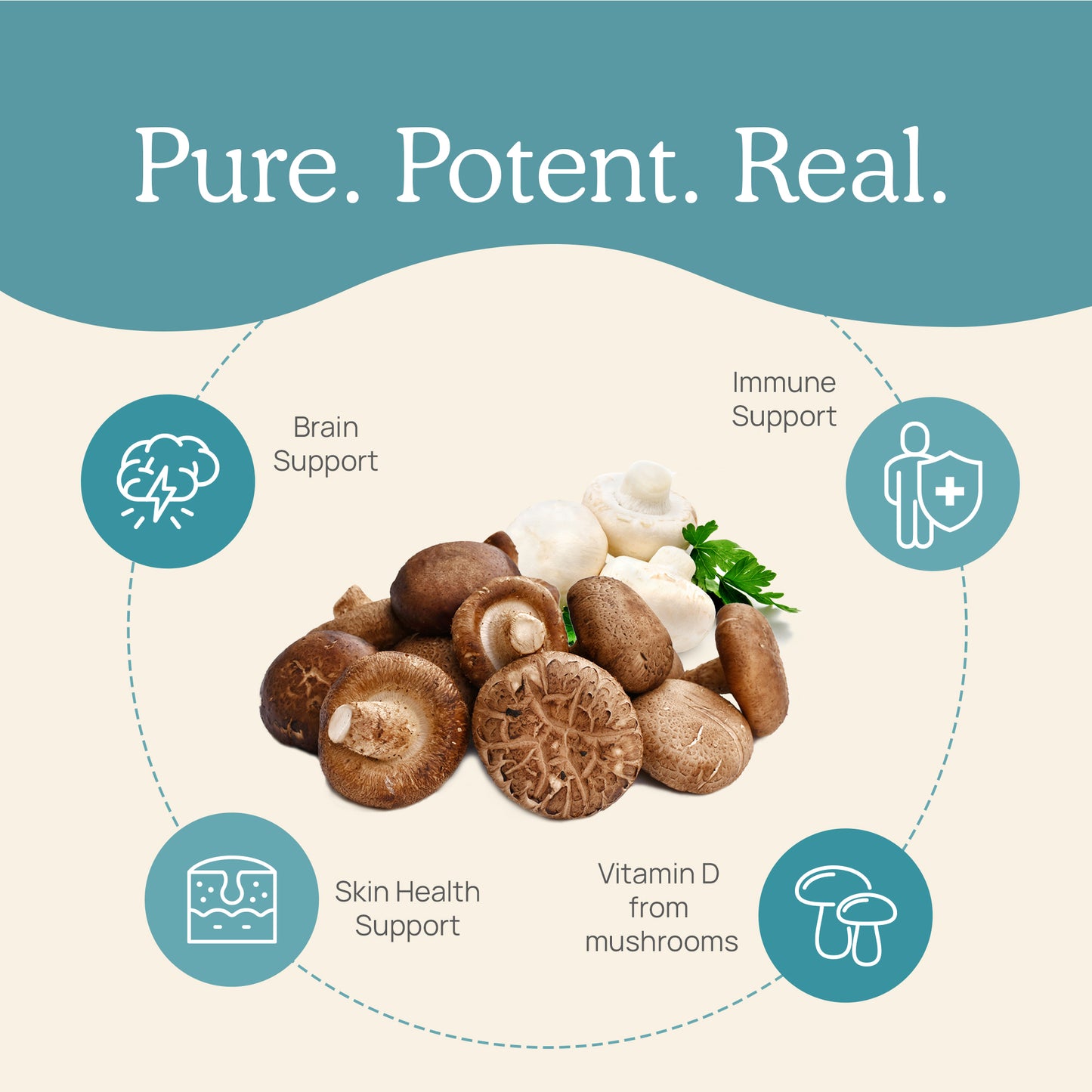 Pure, potent, gluten-free Vitamin D from Organic Mushrooms packed with Real Mushrooms.