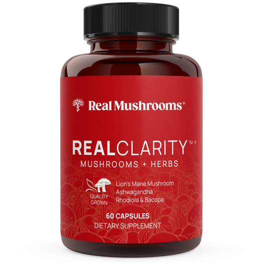 A red bottle from Real Mushrooms, labeled "RealClarity - Lion's Mane, Ashwagandha, Rhodiola and Bacopa," features mushrooms and herbs, containing 60 capsules of dietary supplements with powerful ingredients such as Lion's Mane mushroom, Ashwagandha, and Bacopa extracts.