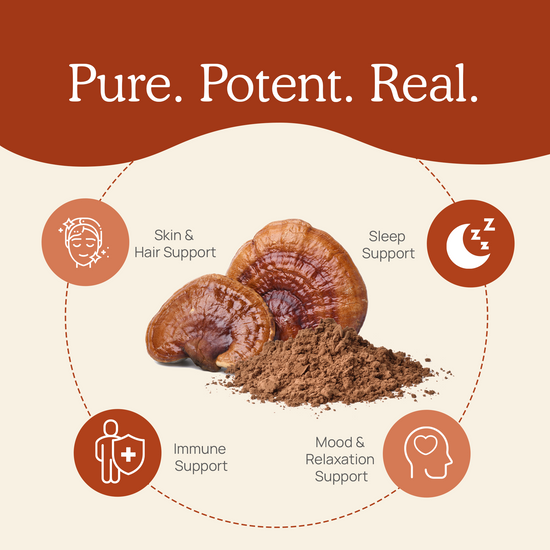 Organic Reishi Mushroom Powder For Health Real Mushrooms 2012