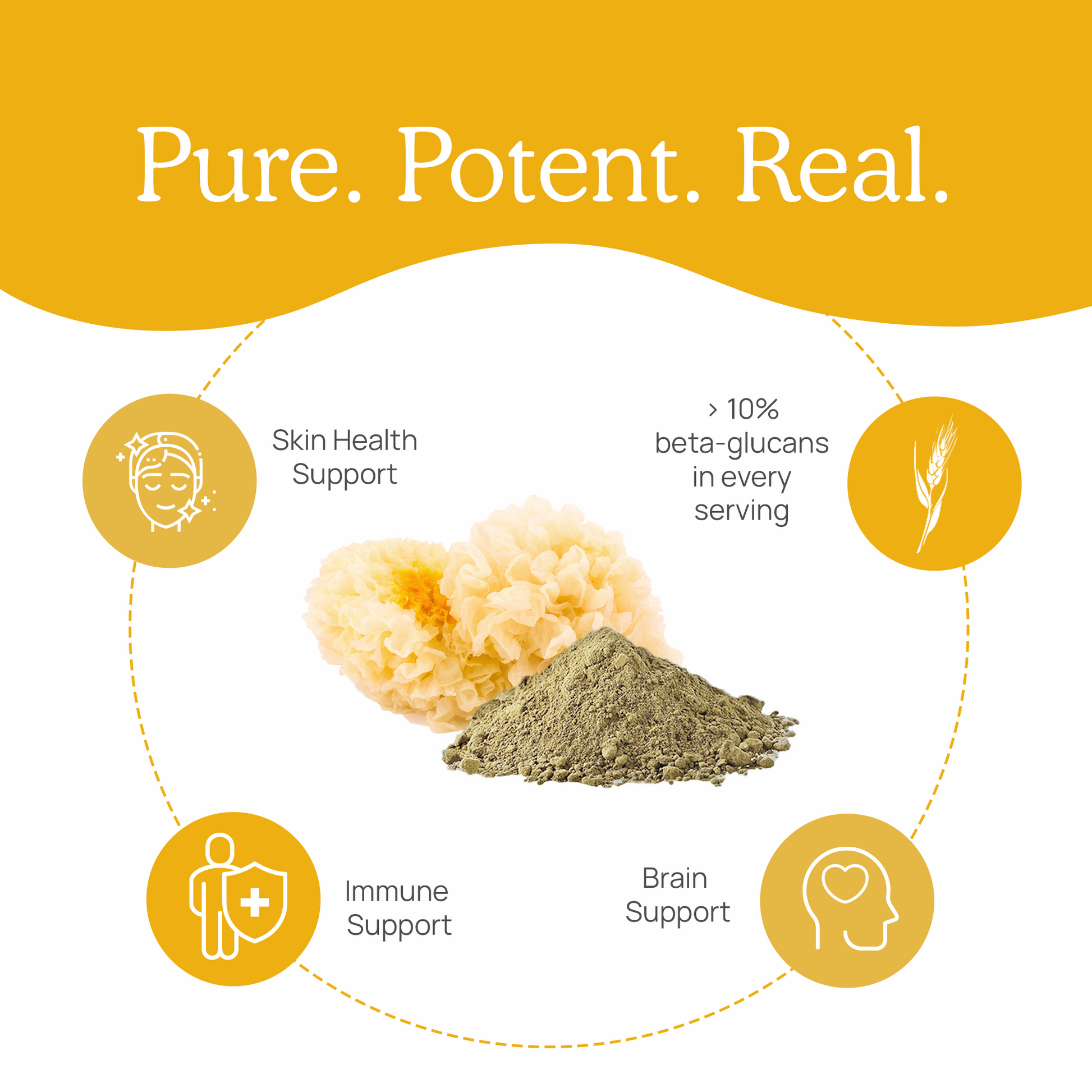 Real Mushrooms' Organic Tremella Mushroom Extract Powder for Pets is pure, potent, and real.