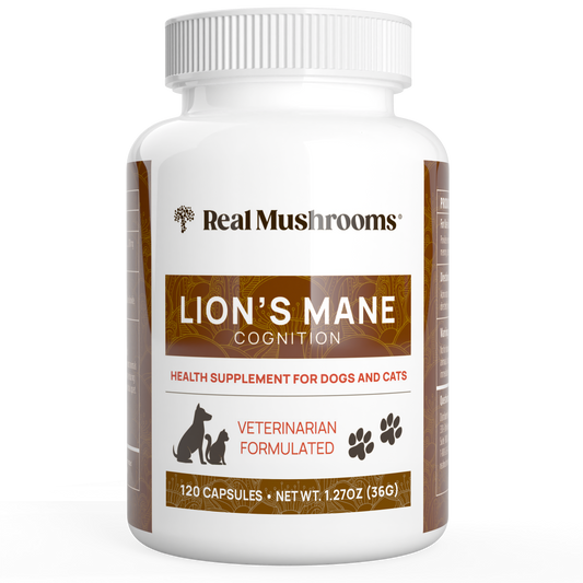 A white bottle labeled "Real Mushrooms Organic Lions Mane Extract Capsules for Pets," an organic mushroom supplement for dogs and cats with 120 capsules, featuring Lion's Mane to support cognitive health.