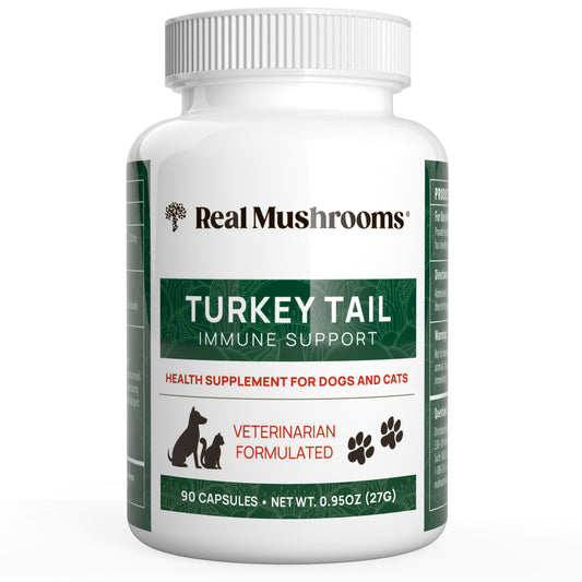 A white bottle labeled "Turkey Tail Extract Capsules for Pets" by Real Mushrooms for dogs and cats contains 90 capsules with organic turkey tail mushrooms and a net weight of 0.95 oz (27g).