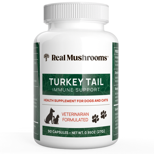 A white bottle labeled "Real Mushrooms Turkey Tail Extract Capsules for Pets," an organic mushroom supplement for dogs and cats with 90 capsules, beta-glucans, and veterinarian formulated.
